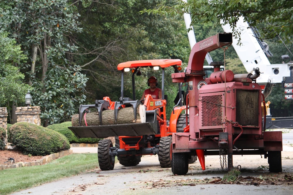 Bills Tree Service