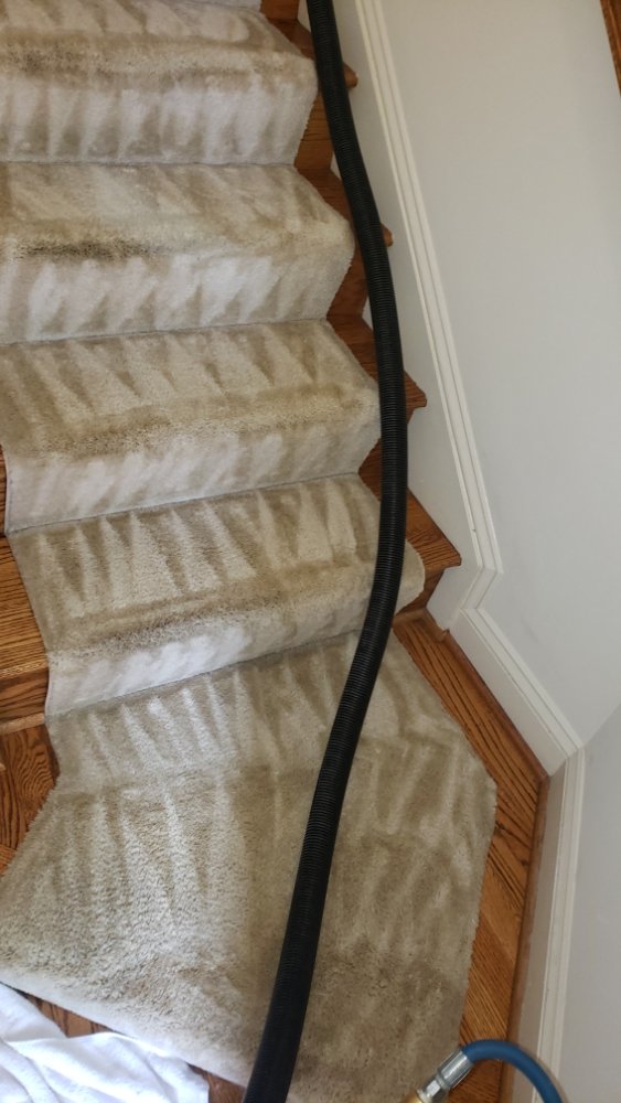 Beto's Carpet Cleaning