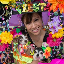 4 Paws Animal Hospital photo