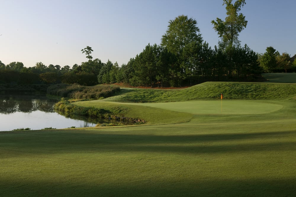 Maple 18 download free image