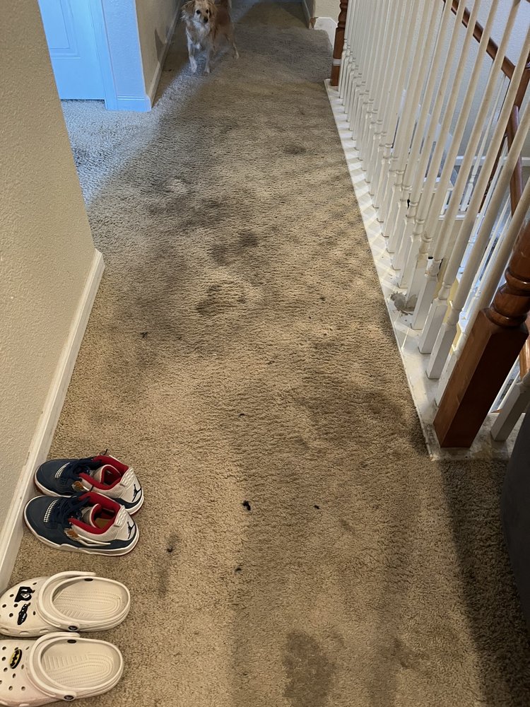 We Care Carpet Cleaning