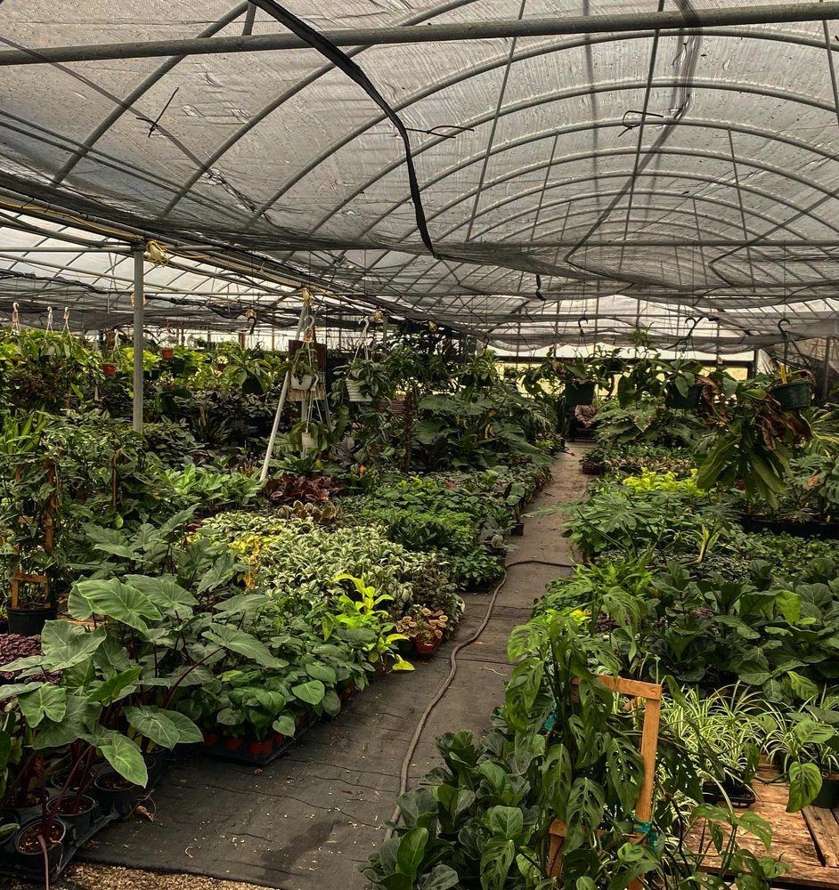 Growin Green Nursery