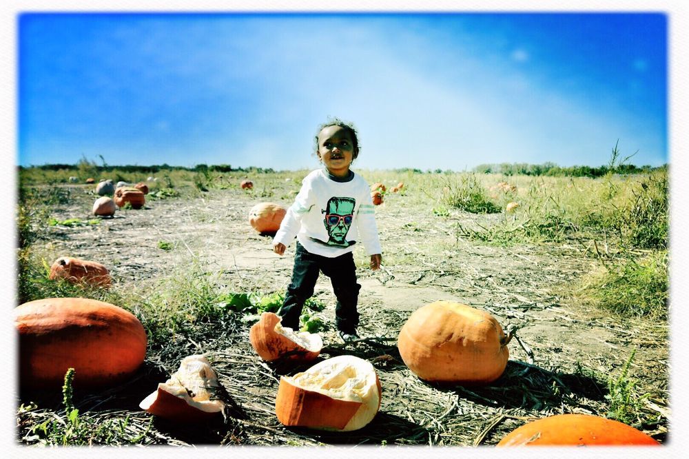 Relleke Farms