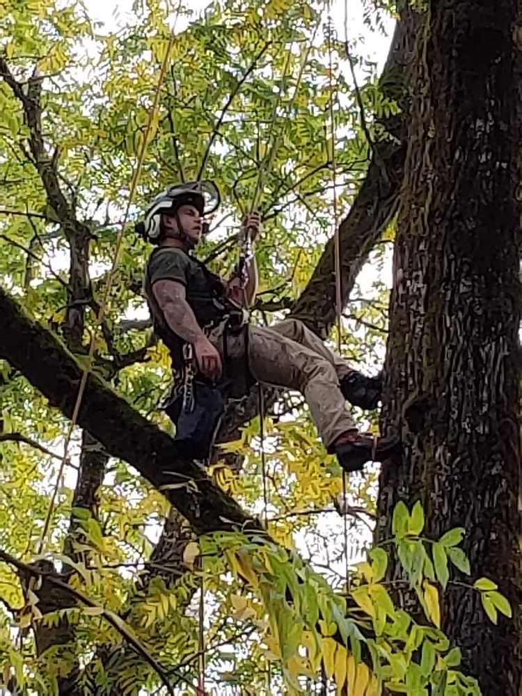 Arborsmith Pro Tree Service