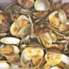 Best Buffets in Palm Beach