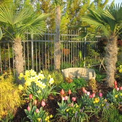 Growers Outlet 50 Reviews Nurseries Gardening 313 N Polk St Photo Of Growers Outlet Pineville Nc United States Spring 2016 At