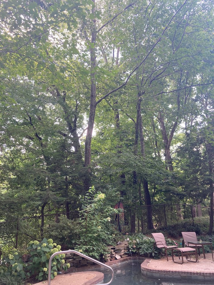 Augustus Arborist Services