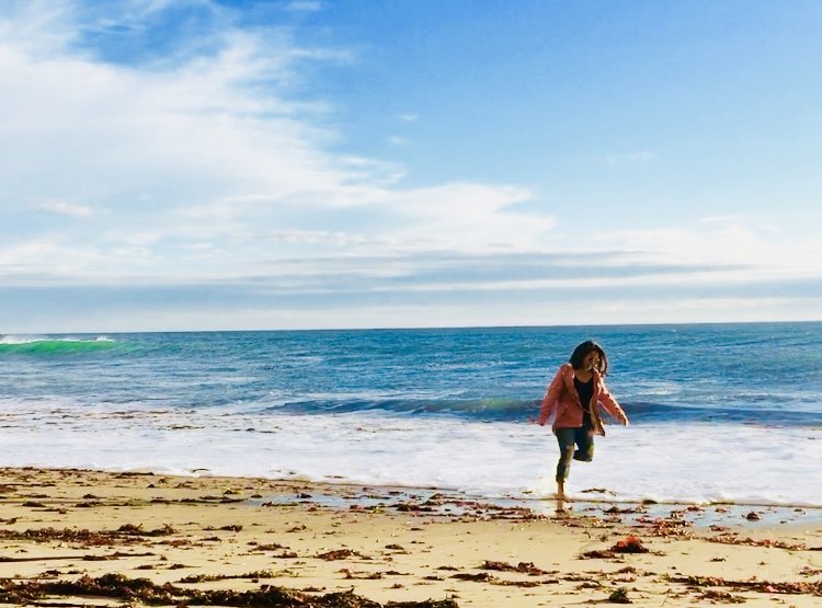 Davenport Beach 637 Photos & 121 Reviews Beaches Hwy 1, Davenport, CA Yelp