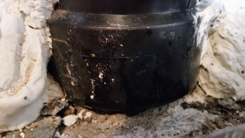 American Leak Detection Of Hawaii Plumbing Kaneohe Hi Phone American Leak Detection Of Hawaii Plumbing Kaneohe Hi Phone Number Yelp