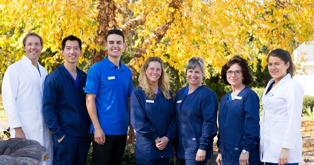 image of business CMP Dental Arts