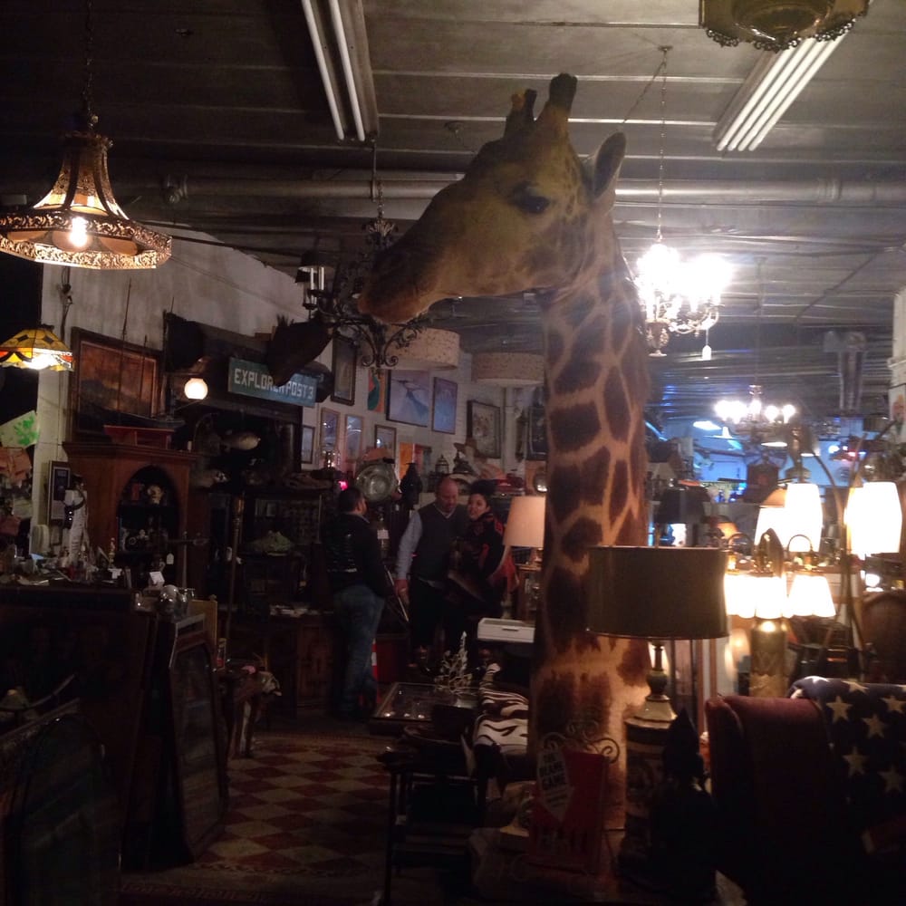 Eclectic Collectibles & Antiques 16 Photos & 10 Reviews Antiques