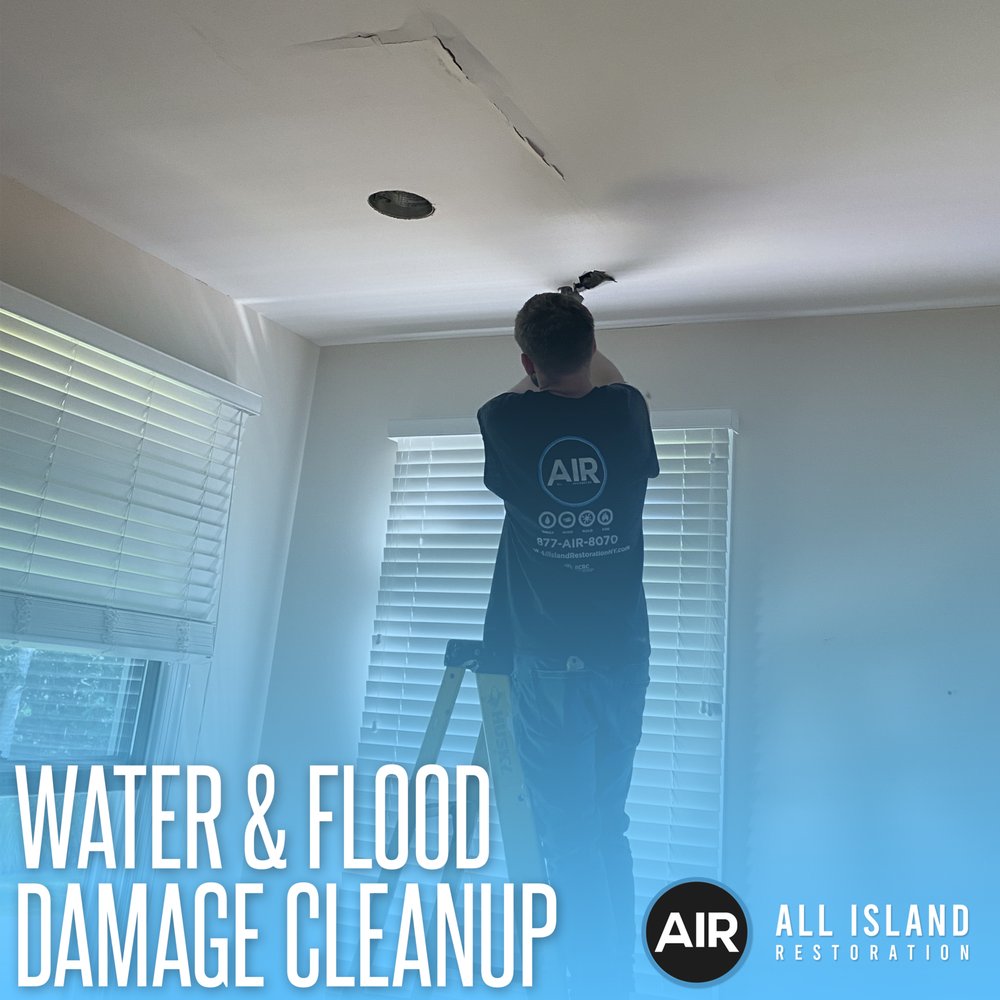 image of business All Island Restoration