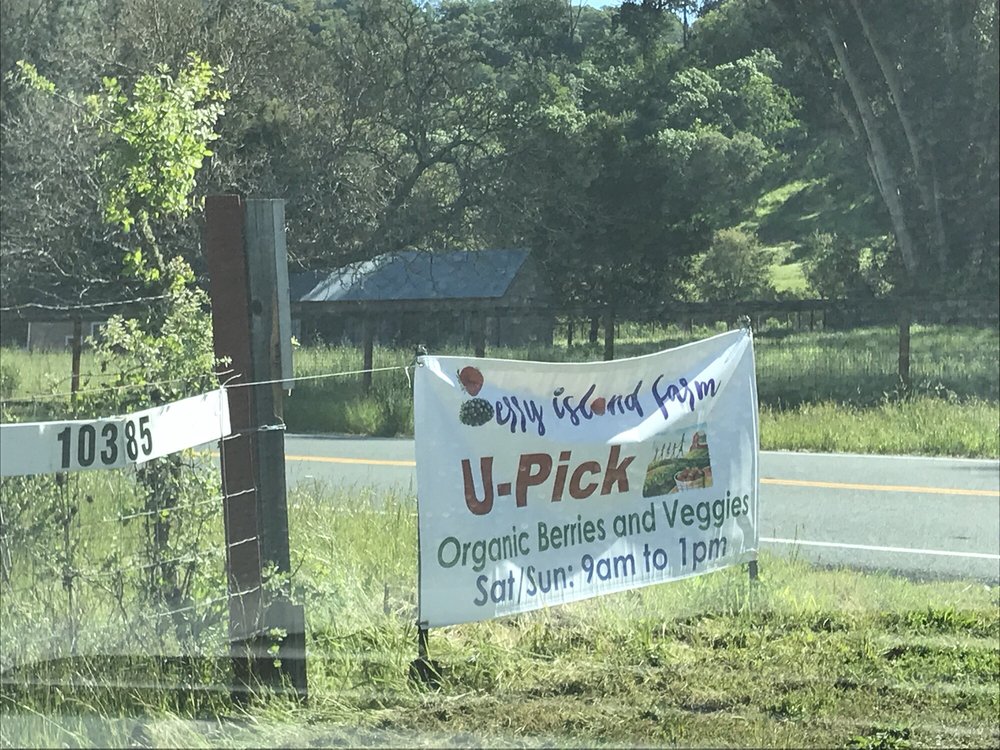 Berry Island Farms Pick Your Own Farms 10385 Watsonville Rd, Gilroy