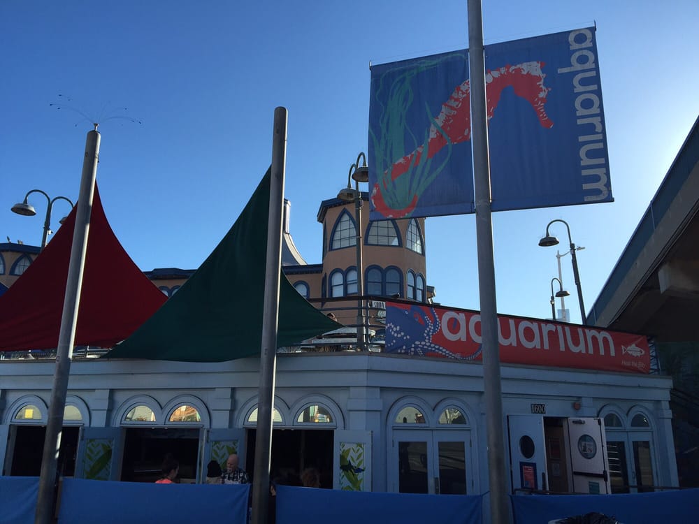 Santa Monica Pier Aquarium 322 Photos & 130 Reviews Aquariums