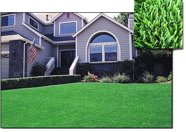 Zamora Sod Farm
