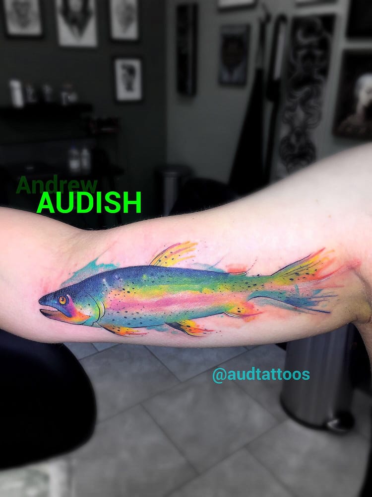 watercolor rainbow trout by andrew audish yelp watercolor rainbow trout by andrew audish yelp