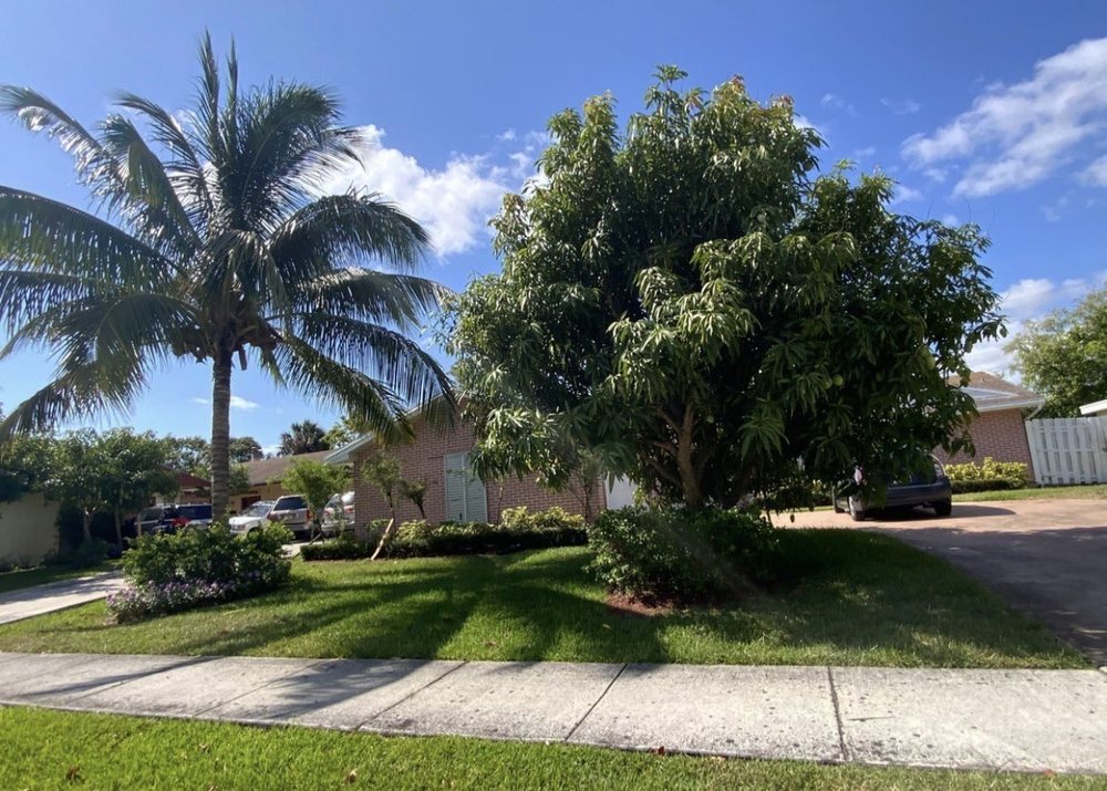 Bizoniste Hilaire Landscaping and Tree Service