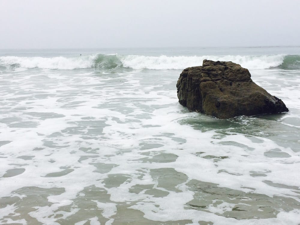 El Pescador State Beach 61 Photos & 22 Reviews Beaches 32900