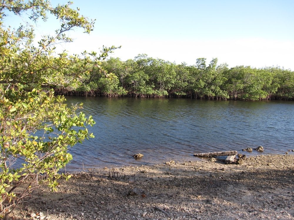 Photos for Matheson Hammock Park Yelp