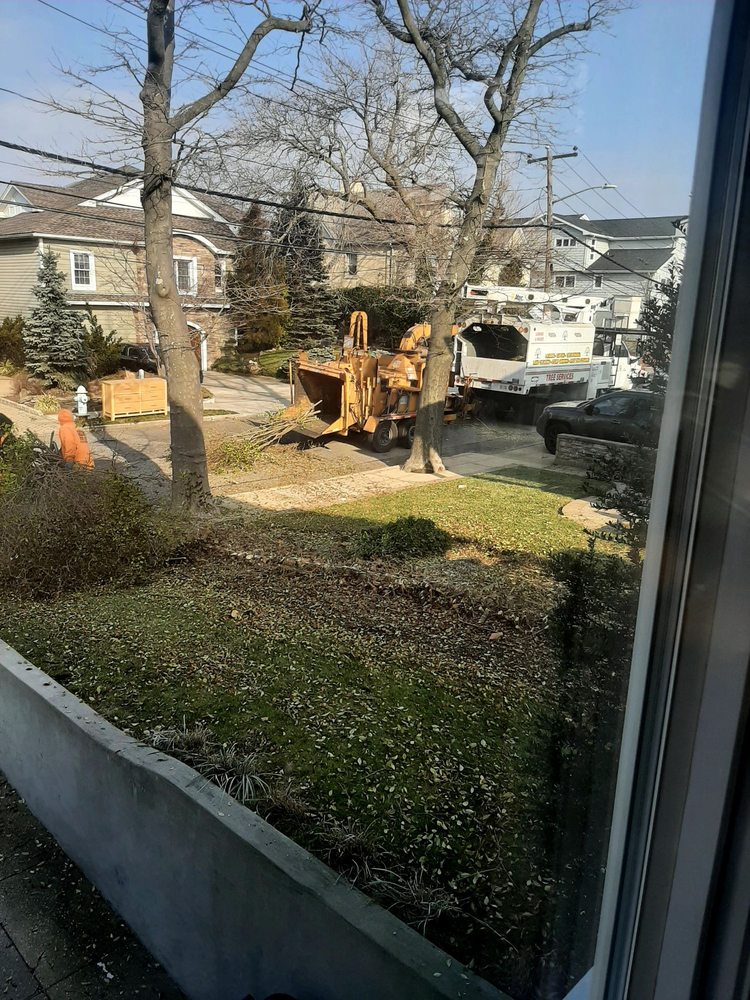 Greencare Tree Service