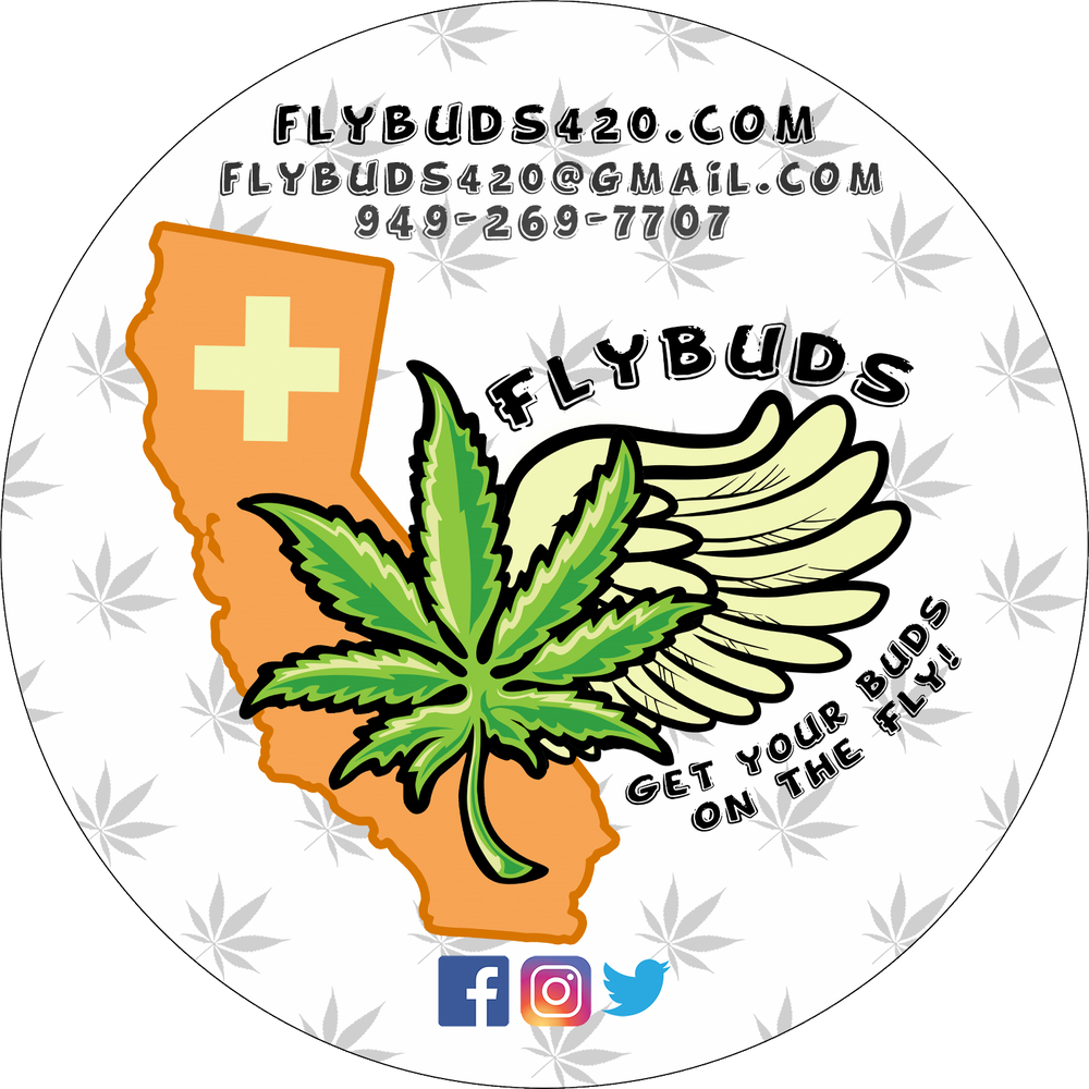 FlyBuds