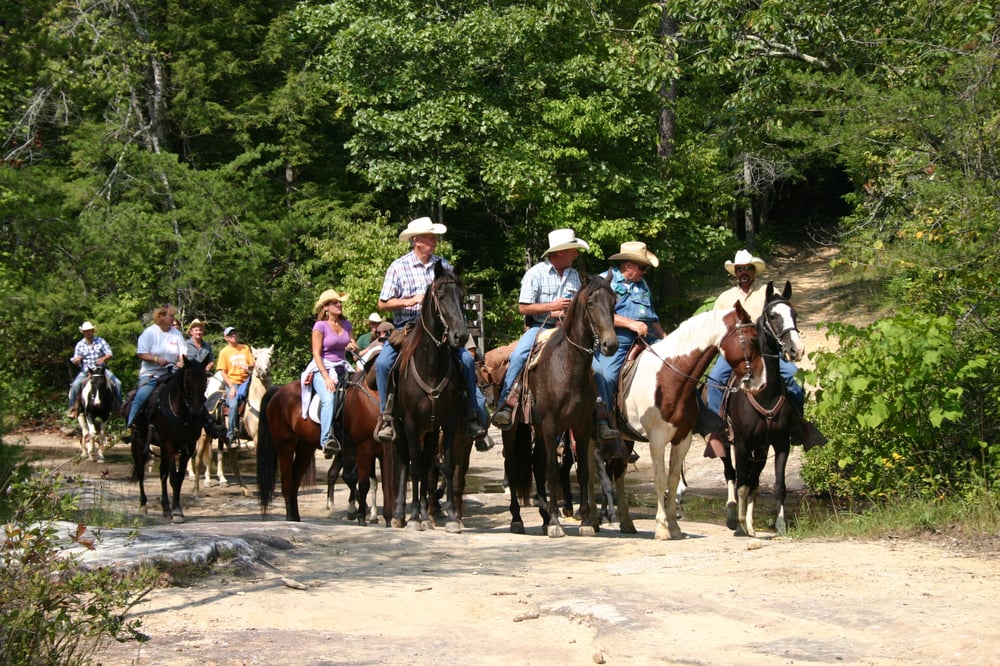 East Fork Stables Request a Quote Horse Boarding 3598 S York Hwy