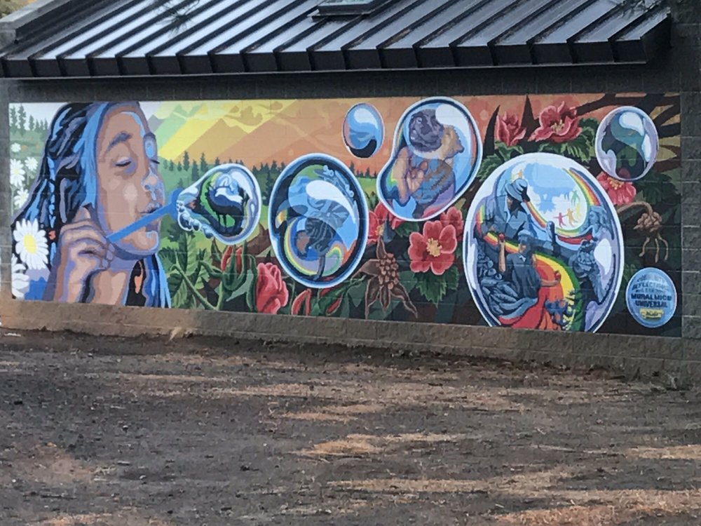 Bushmaster Park 14 Photos Skate Parks 3150 N Alta Vista