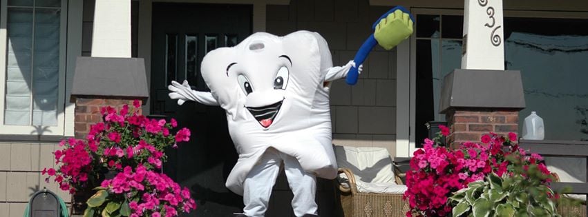image of business Jeffrey A Stewart, DDS - Westgate Dental