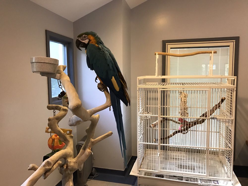 Animal & Bird Health Care Center 15 Photos & 33 Reviews