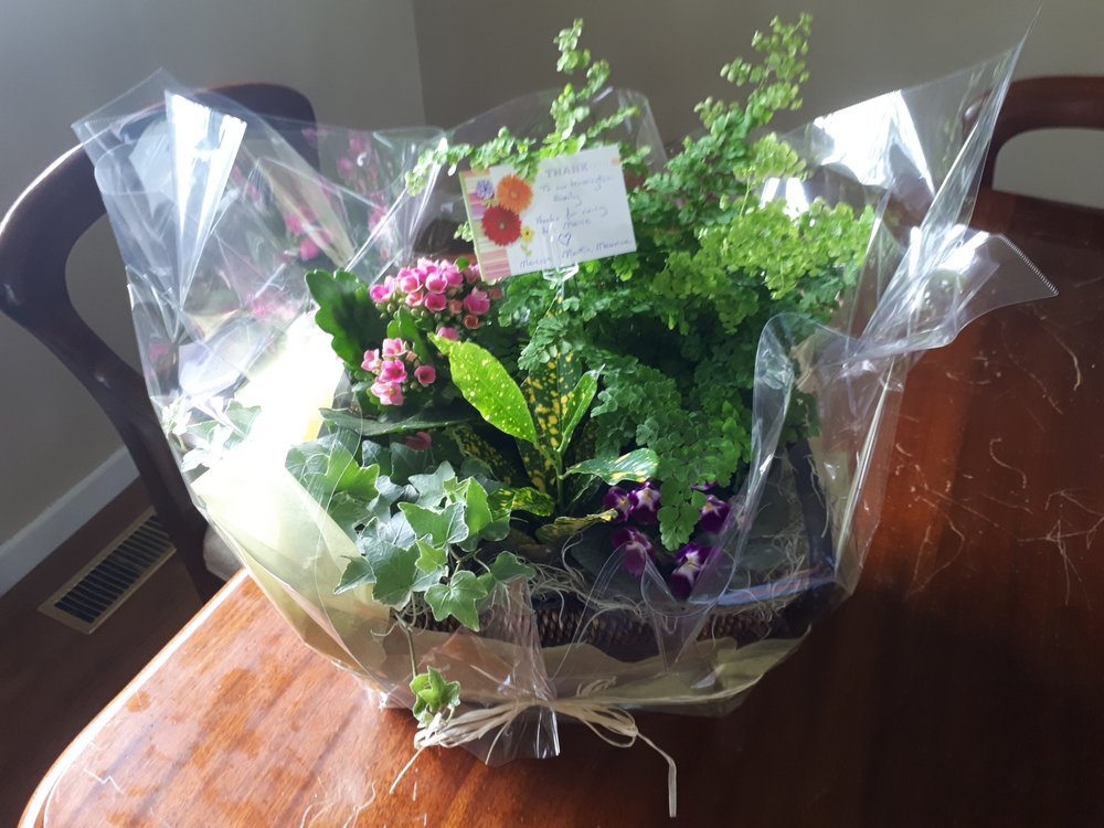 Joshua's Greenery