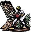 Pegram Tree Service