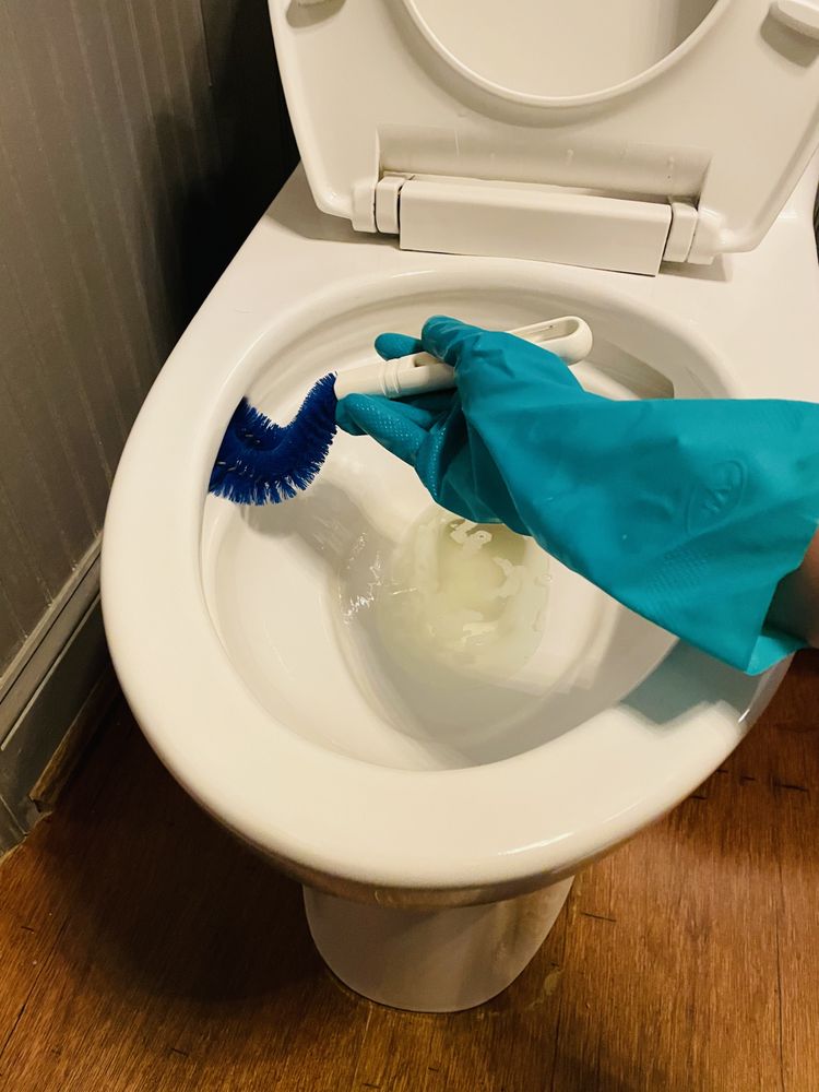 ZR House Cleaning