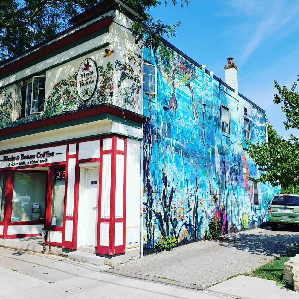 Birds And Beans Cafe