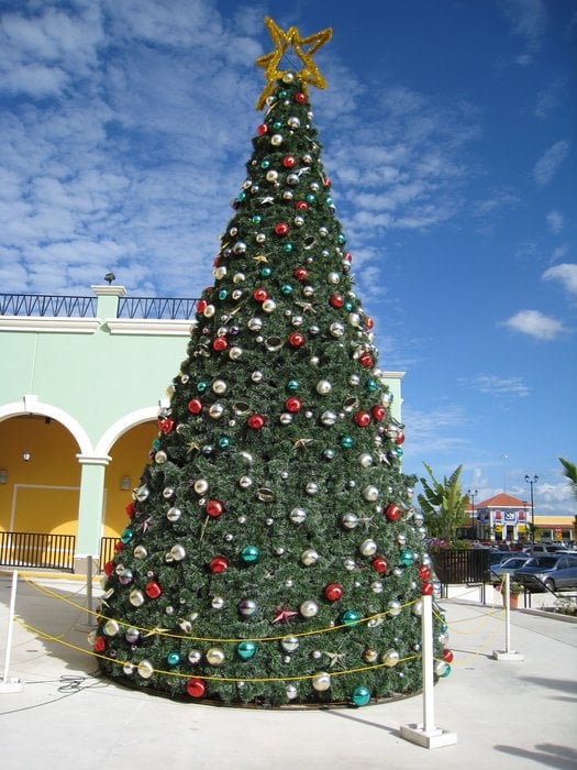 photo of puerto rico premium outlets barceloneta puerto rico puerto rico christmas - Puerto Rico Christmas Tree Decorations photo of puerto rico premium outlets barceloneta puerto rico puerto rico christmas - Puerto Rico Christmas Tree Decorations