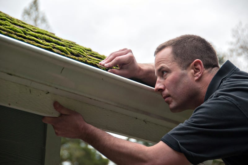 All Islands Home Inspections