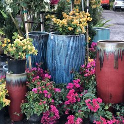 All About Gardens Nursery 34 Photos Nurseries Gardening 2350 Photo Of All About Gardens Nursery Davie Fl United States