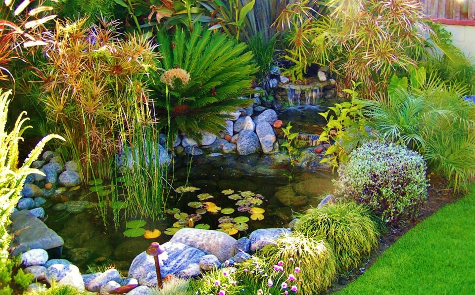 Koi Pond Water Garden Paradisse Los Angeles Envirodcape La Landscape 11 Photos For Enviroscape La