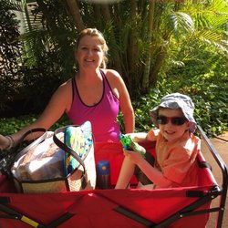 babysitters reviews