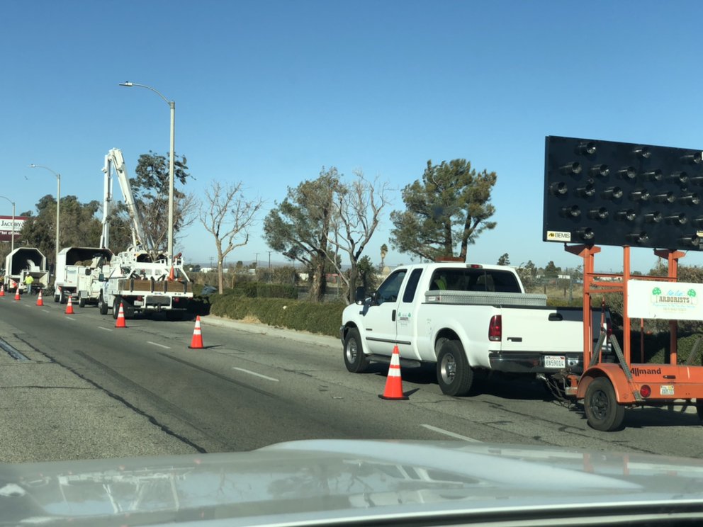 Tip Top Arborists