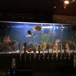gay bars tri cities wa Gay bars tri cities wa