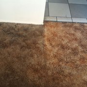 Carpet Cleaning Torrance Customer Review Zerorez Socal Photo Of Efren S Carpet Cleaning Torrance Ca United States