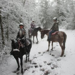 Best Horseback Riding Near Lewes De 19958 Last Updated December Hoof Prints Trail Riding Center