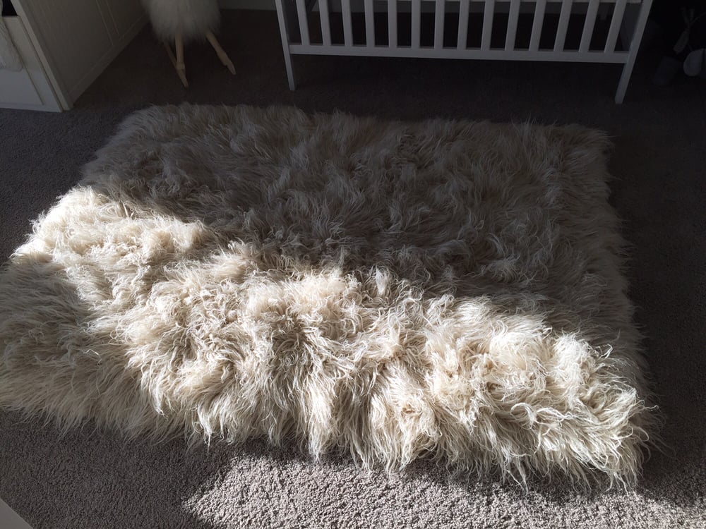 Norm S Carpet Cleaning 21 Photos 18 Reviews