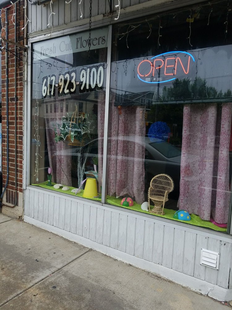 Watertown Florist Shop 13 Reviews Florists 449 Main St, Watertown, MA Phone Number