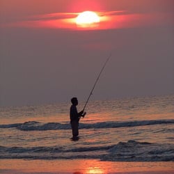 Photo of Wild Rice Pan Asian Restaurant - King of Prussia, PA, United States