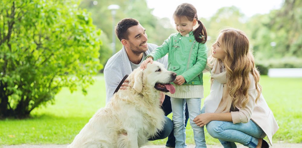 image of business Center of Excellence in Pediatric Neurology