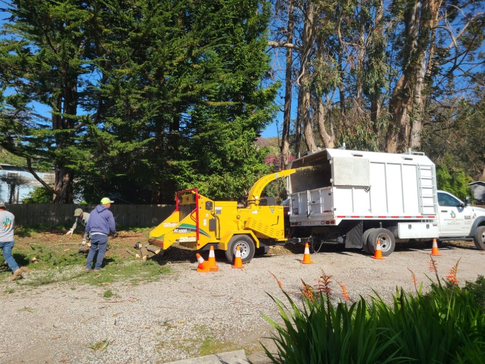 Acer Landscaping & Tree Care