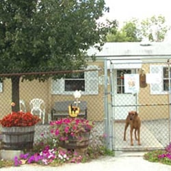 boarding louisville royalton kennels 71 photos pet sitting 8620 bardstown rd louisville ky boarding louisville royalton kennels 71 photos pet sitting 8620 bardstown rd louisville ky