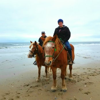 Horseback Riding Pompano Beach Fl Horseback Riding Pompano Beach Fl