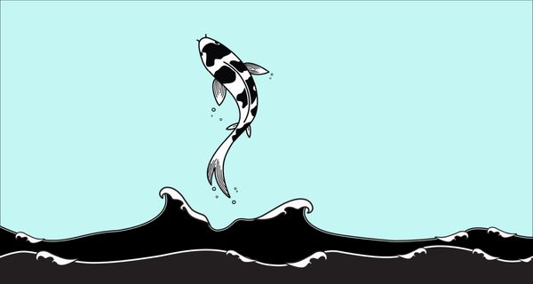 High Tide Web Design